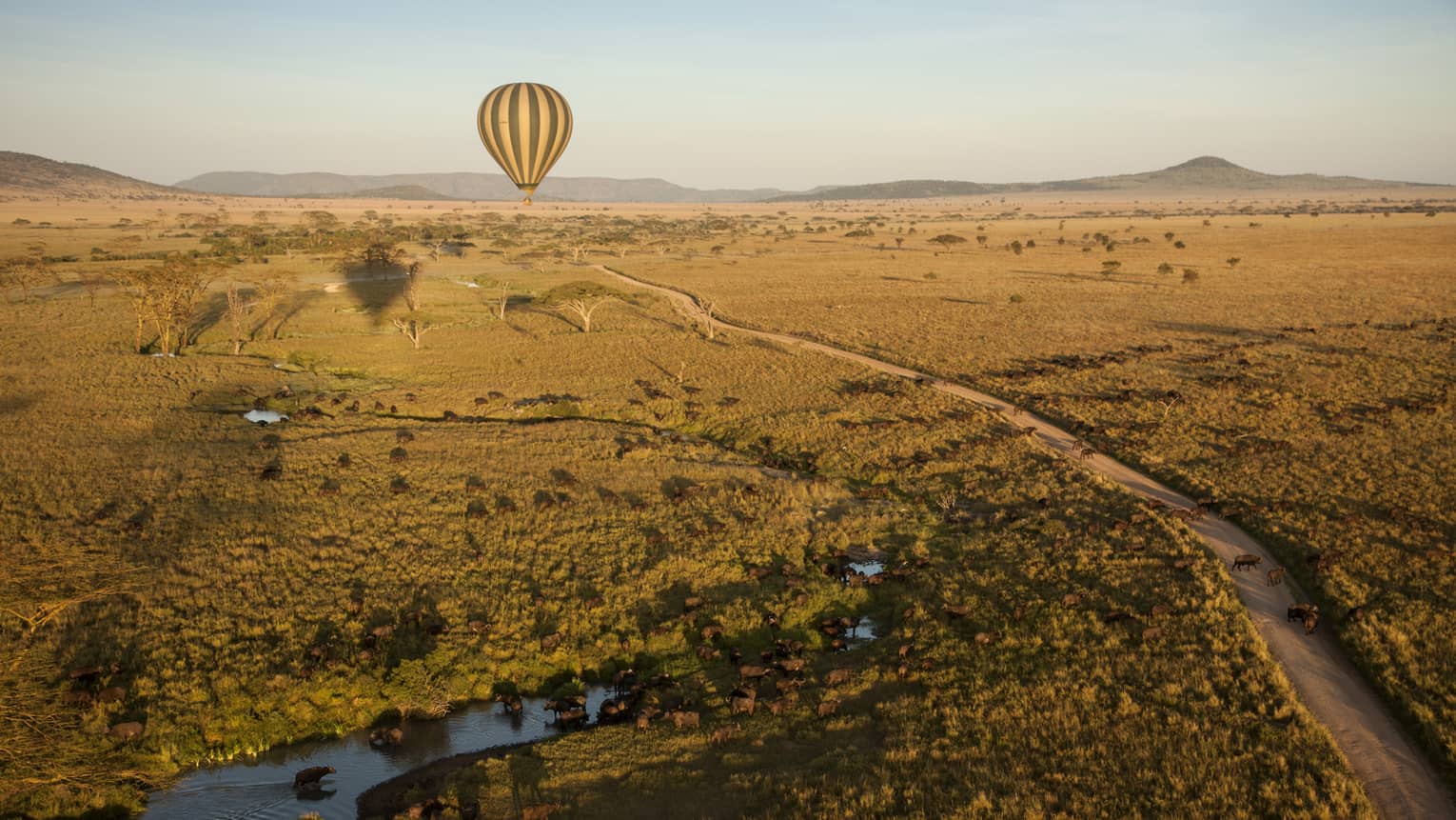Hot Air Balloon Flight