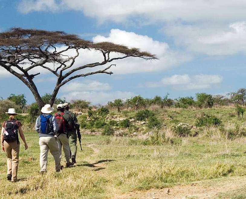 Walking Safaris