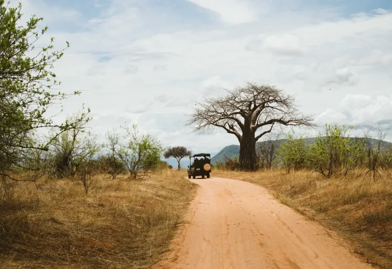 Game drives at katavi national park