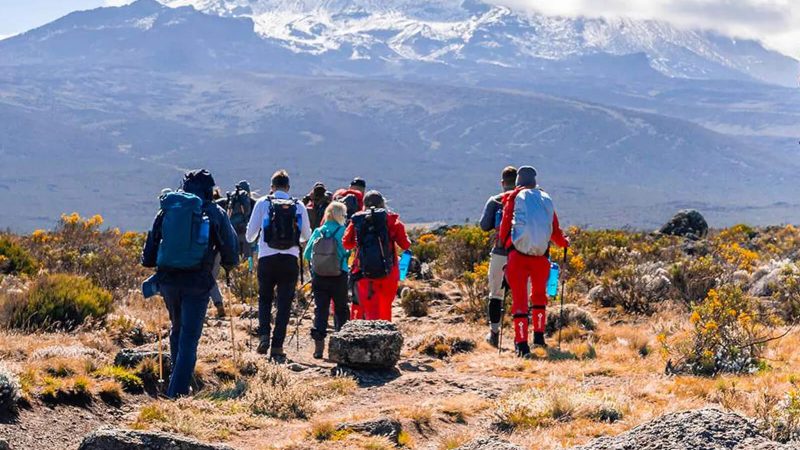 Rongai-Route-Kilimanjaro
