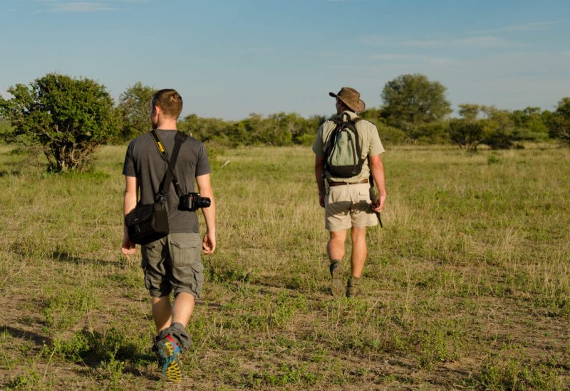 Walking-safari