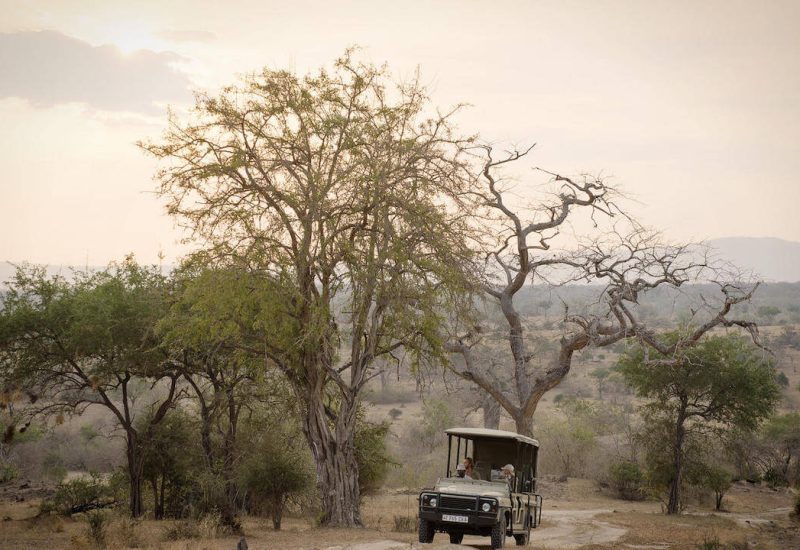 game drive at nyerere