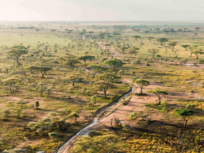 serengeti tanzania