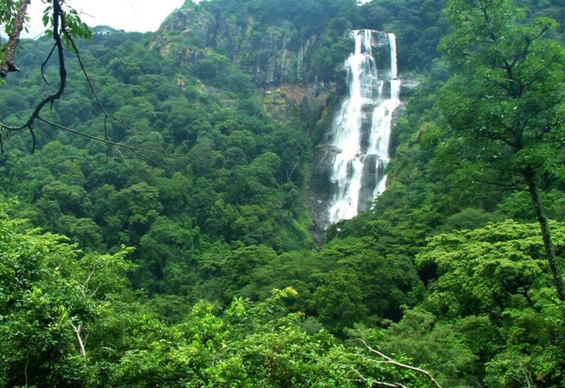 udzungwa-waterfall